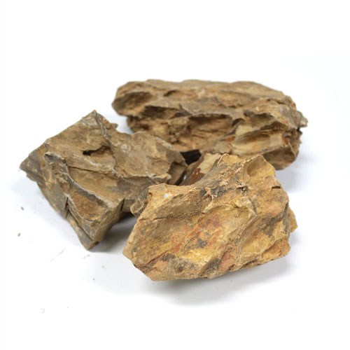 풀레뜨 황호석 1kg정글플랜트 테라리움 비바리움 팔루다리움 수조 9,900원