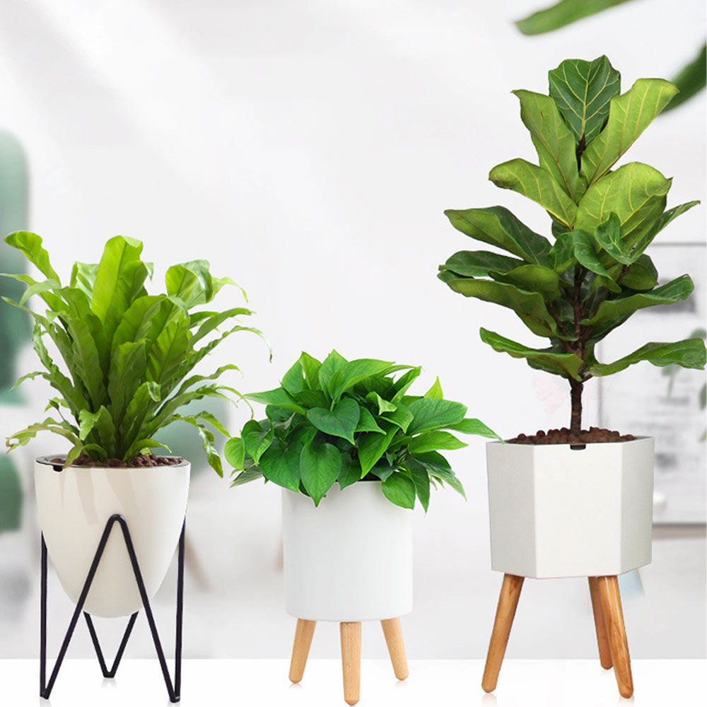 비상 팬텀 원목 대형 수경재배 수분부족알람 저면관수 화분 38,900원