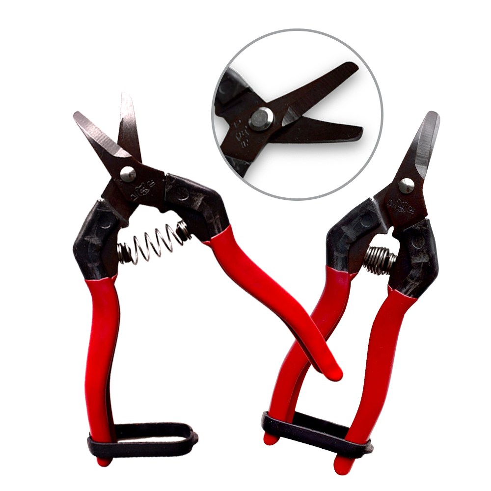 신성 적과가위(곡형) 사과 배 감 귤 등 둥근과일용 과일꼭지가위 SB307, 10개 50,000원