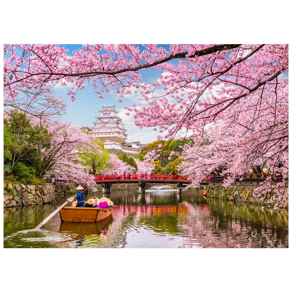 P430-0/벚꽃사진 대형사진 A1 봄사진 화사한사진 풍경화 풍경화그림 인테리어사진 12,000원