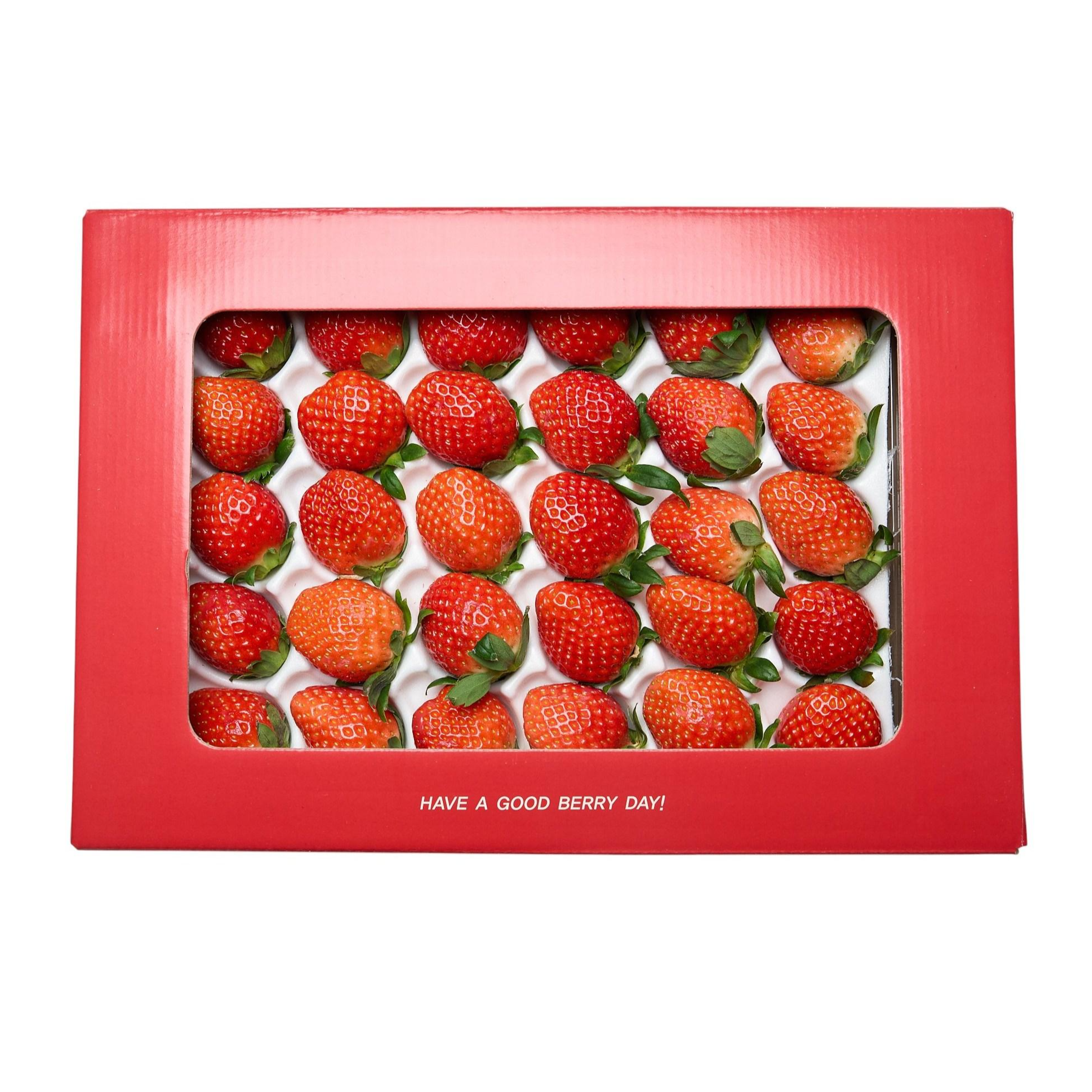 [새벽수확] 산지직송/당도보장 프리미엄 금실딸기, 1개, 750g내외 23,000원