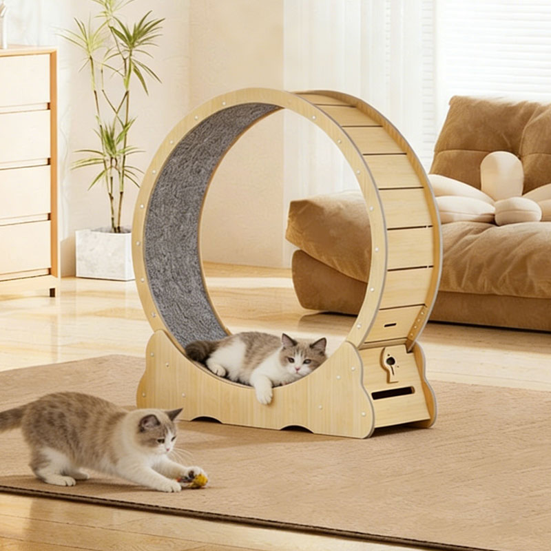 New World 캣휠 고양이 운동훈련 런닝머신 실내 롤러 스크래쳐 건강 관리 펫 장난감 70,110원