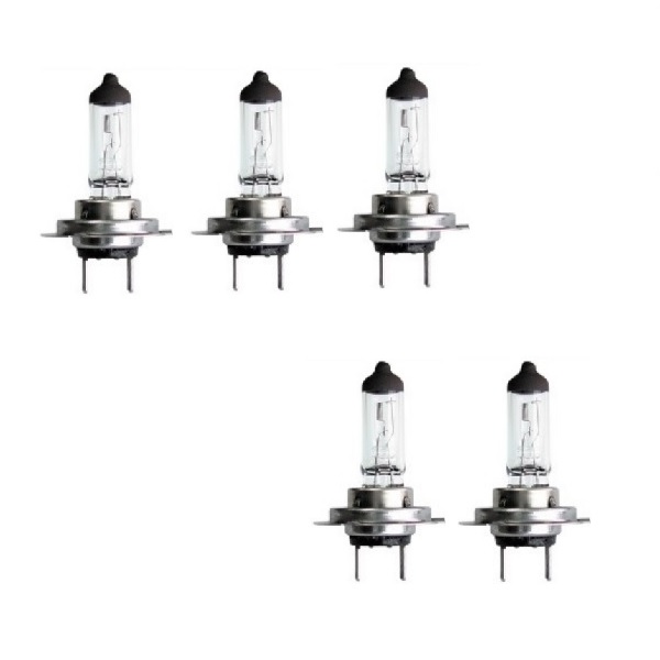 지노기업/70W/5개/라이트큐/메가/뉴파워텍/트라고/엑시언트/파비스/노브스/프리마/더쎈/구센/맥쎈/화물차/대형트럭/전조등 전구/수입트럭 14,250원