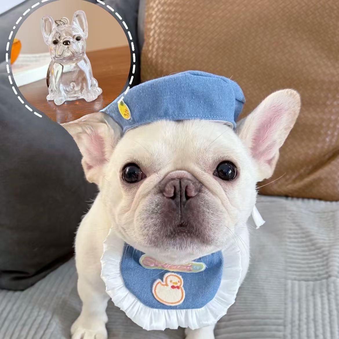 웨버몰 반려동물 털 보관 키링 4,900원