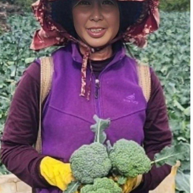 제주울엄마 직접 농사지은 브로콜리, 1개, 2kg 17,900원