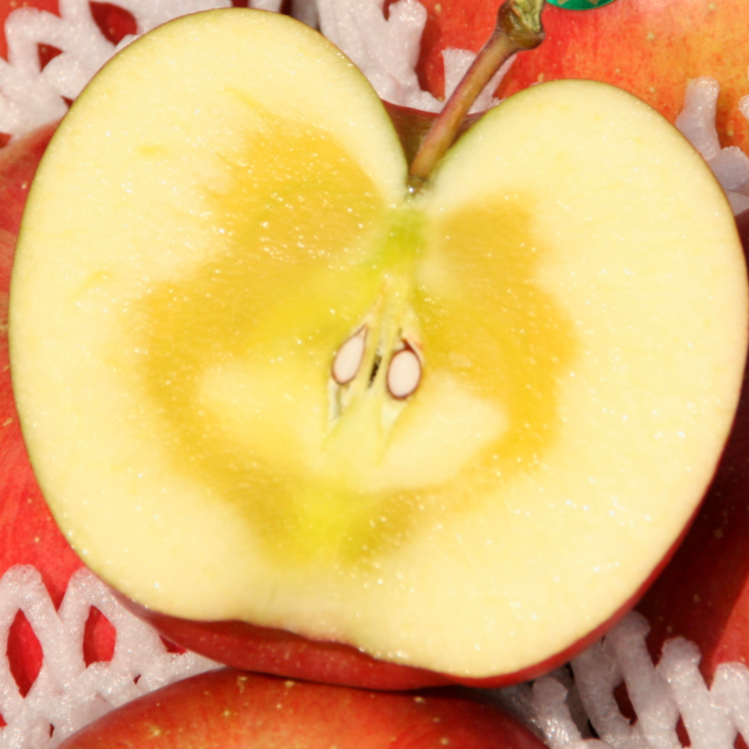 [당일특가] 고당도 경북 부사사과 안동직송, 1박스, 고당도_10kg 대과 139,800원