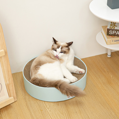 펫톤 고양이 써클 스크래쳐, 1개, 혼합색상 13,150원