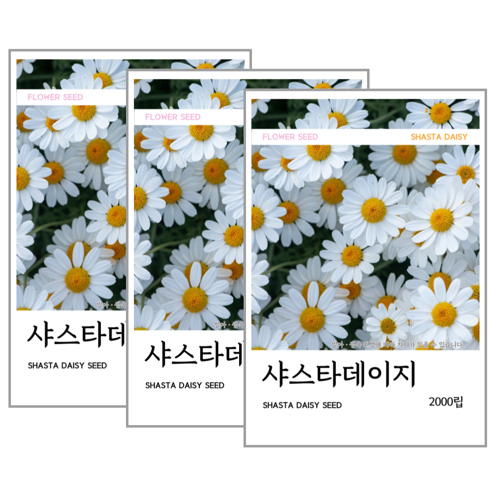샤스타데이지 씨앗 2000립(코팅 종자 8g), 3개 7,500원