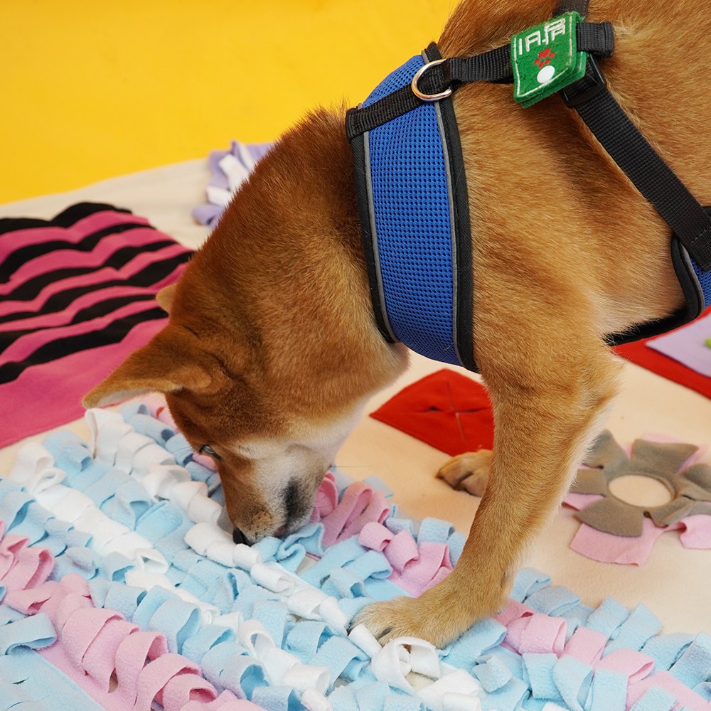 개과천선 스케일 강아지 노즈워크 스트레스 해소 놀이 장난감 애견 분리불안 훈련매트 35,200원