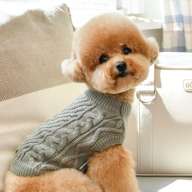 올치 반려동물 웨이브 꽈배기 민소매 조끼 니트 티 셔츠 TS6356, 그레이, 1개 17,900원