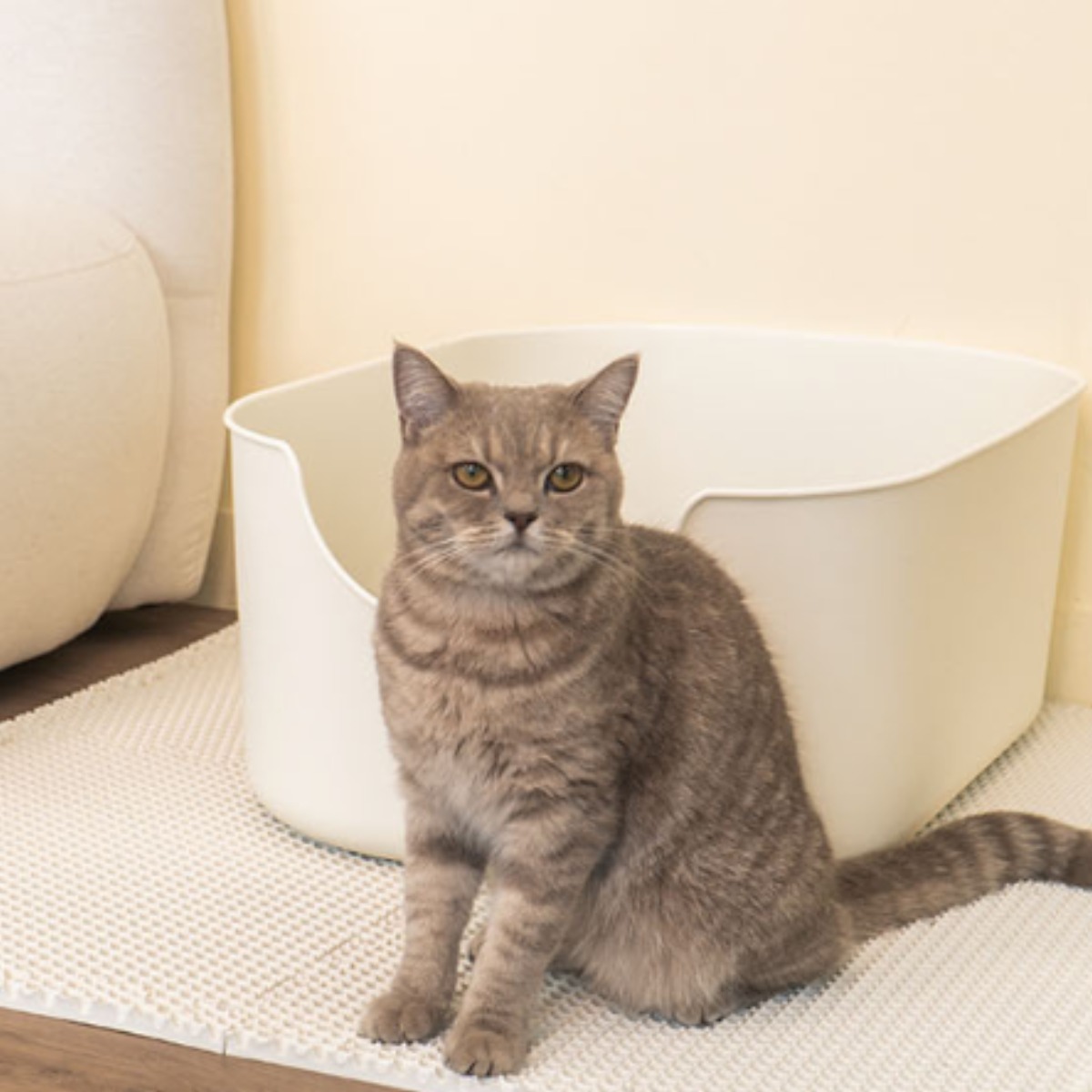 정글몬스터 고양이 쏙쏙 모래 매트, 단일 색상, 4개 21,040원