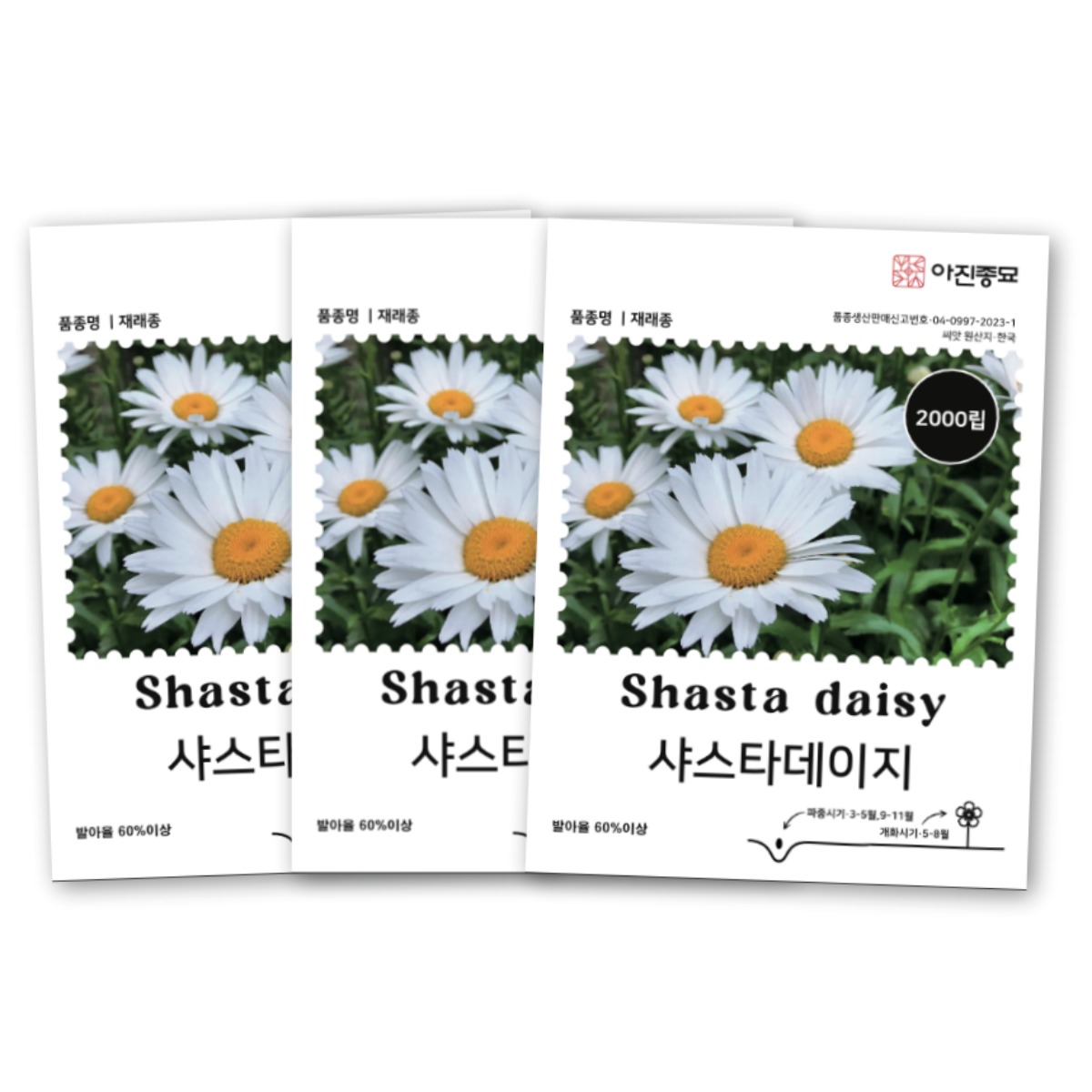 [주주씨앗] 샤스타데이지 씨앗 2000립 3봉세트 꽃씨 꽃씨앗 노지월동 다년생 야생화 봄 가을 파종 작물, 1세트 6,980원