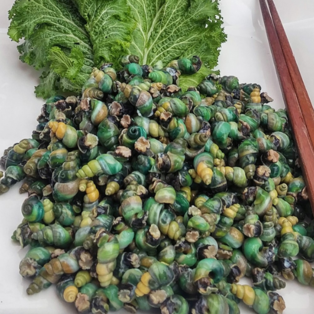 산지청정 1급수 강원도 영월 100% 자연산 깐다슬기 16,800원