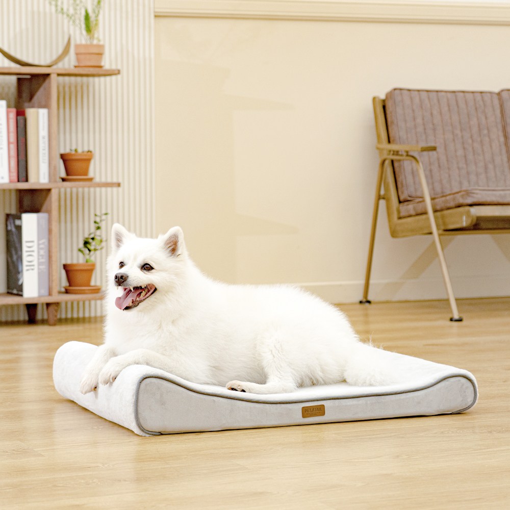 펫테일 강아지 방석 척추 고양이 침대 리저브, 모던 그레이, 1개 82,900원