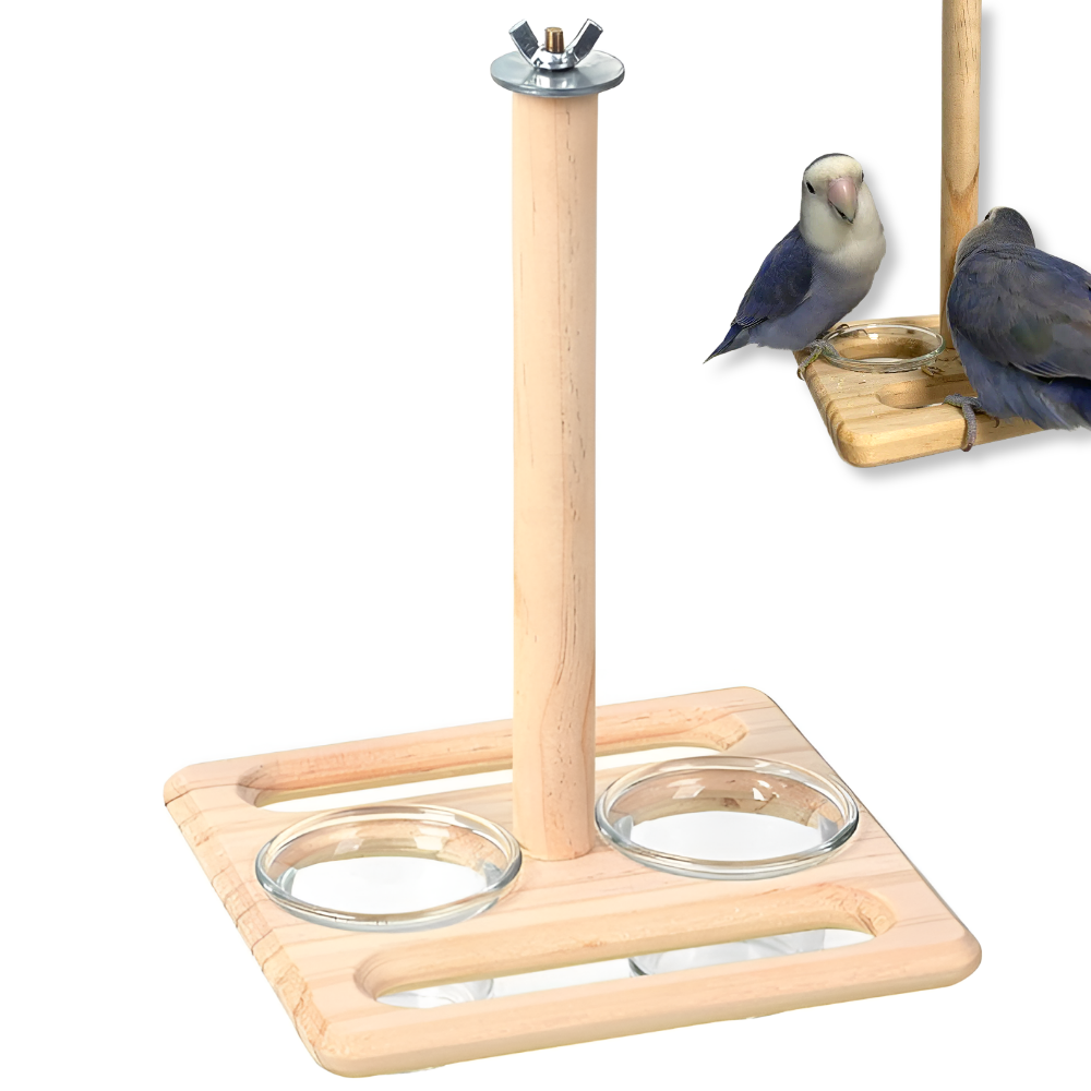 LETOJ 앵무새 깔끔 식기, 1개, 깔끔식기원목 15,600원