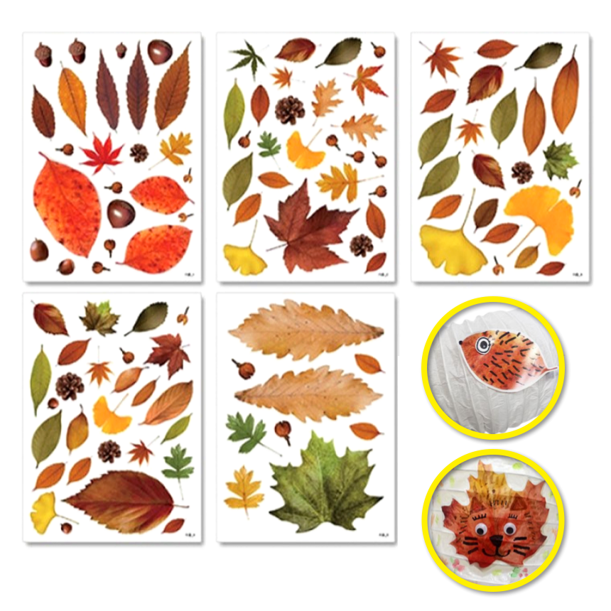 (5장) 가을 단풍 나뭇잎 스티커 만들기 방과후 재료 초등 낙엽 환경, 5세트, free 19,900원