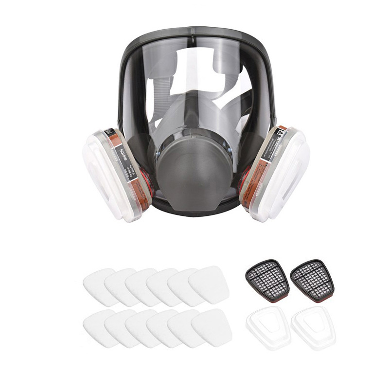 TAE WOL INSMA 6800전면형 방독면 방독마스크, 1개, BLACK 29,900원