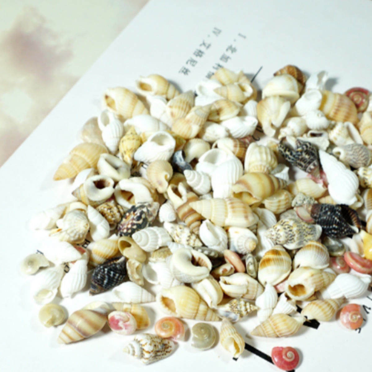 레진 공예 UV 크리스탈 레진 아트 재료 미니 소라 조개 20g 부자재, 1개 1,400원