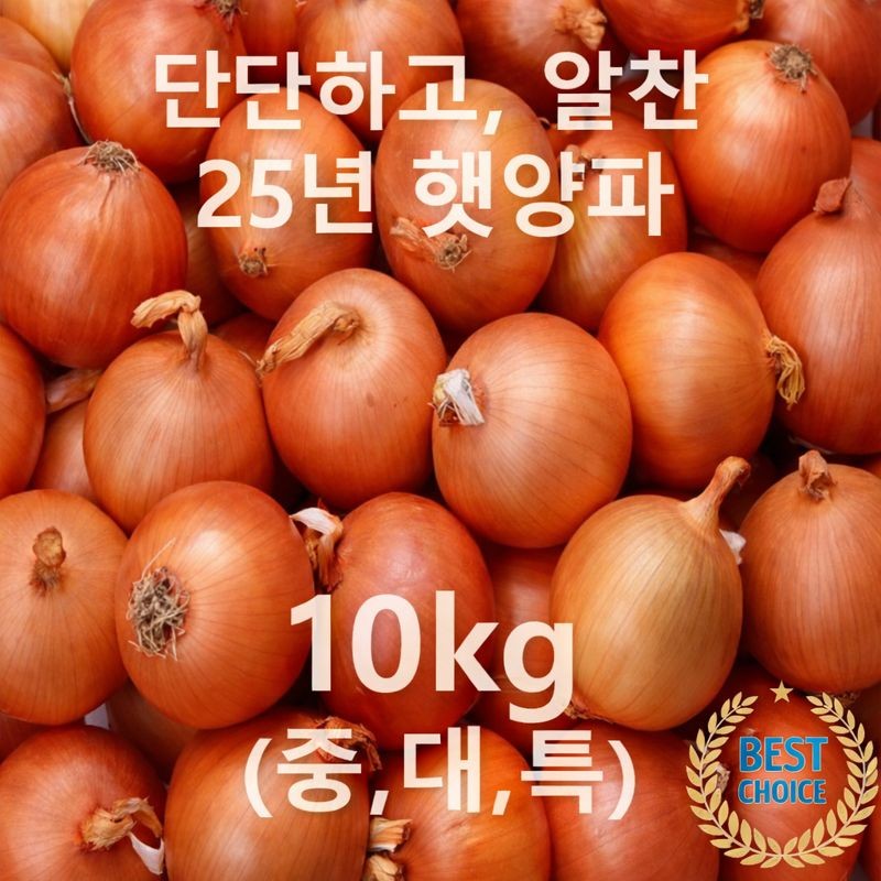 [25년 국내산 햇양파, 국내 최저 가격도전!] 단단한 양파 선별 배송 !, 1박스, 국내산 양파 10kg 특(200g이상) 24,500원
