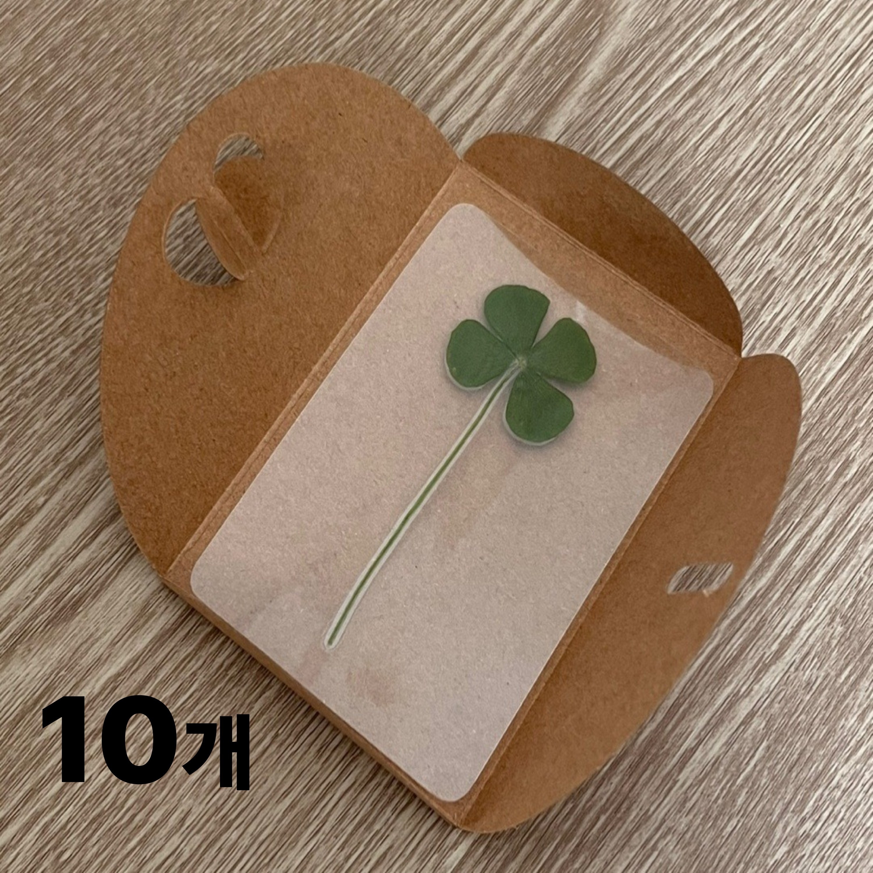 네잎클로버 코팅 카드 책갈피 봉투 포함 졸업 선물, 10세트 9,000원