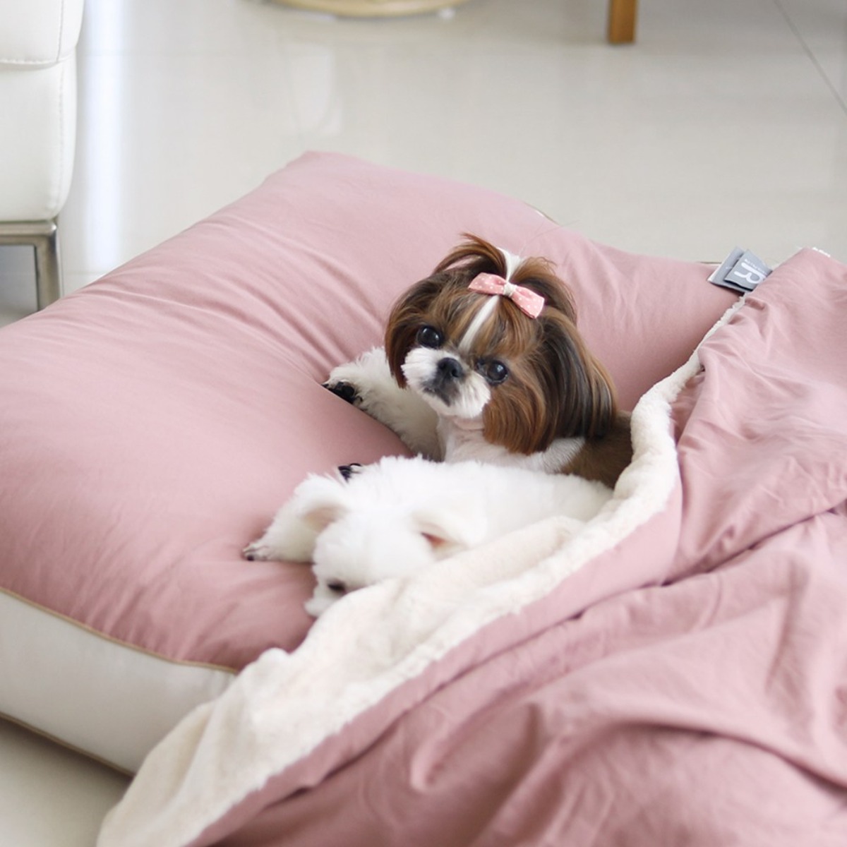 홈랩 기절 펫 강아지이불 베개 고양이 숨숨집 세트 3색상, 1세트, 그린, 현재가 49,900원