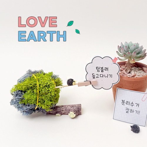 [원예·환경] 스칸디아모스 지구 메모꽂이 만들기 - 1인세트, 단품 3,800원