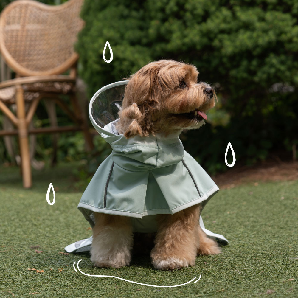 베일리 강아지우비 비옷 판초 중형견 대형견 아웃도어 레인코트 29,900원