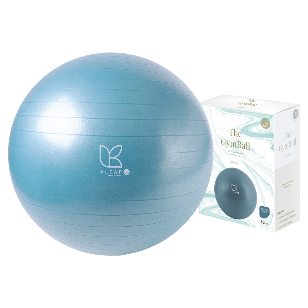 아리프 안티버스트 짐볼 10,800원