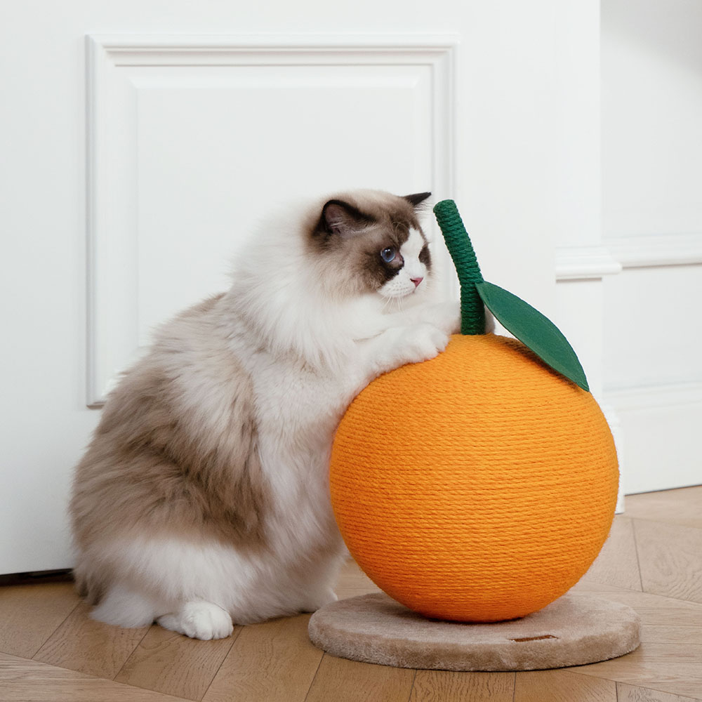VETRESKA_오렌지 볼 고양이 스크래쳐 (싱글) 78,000원