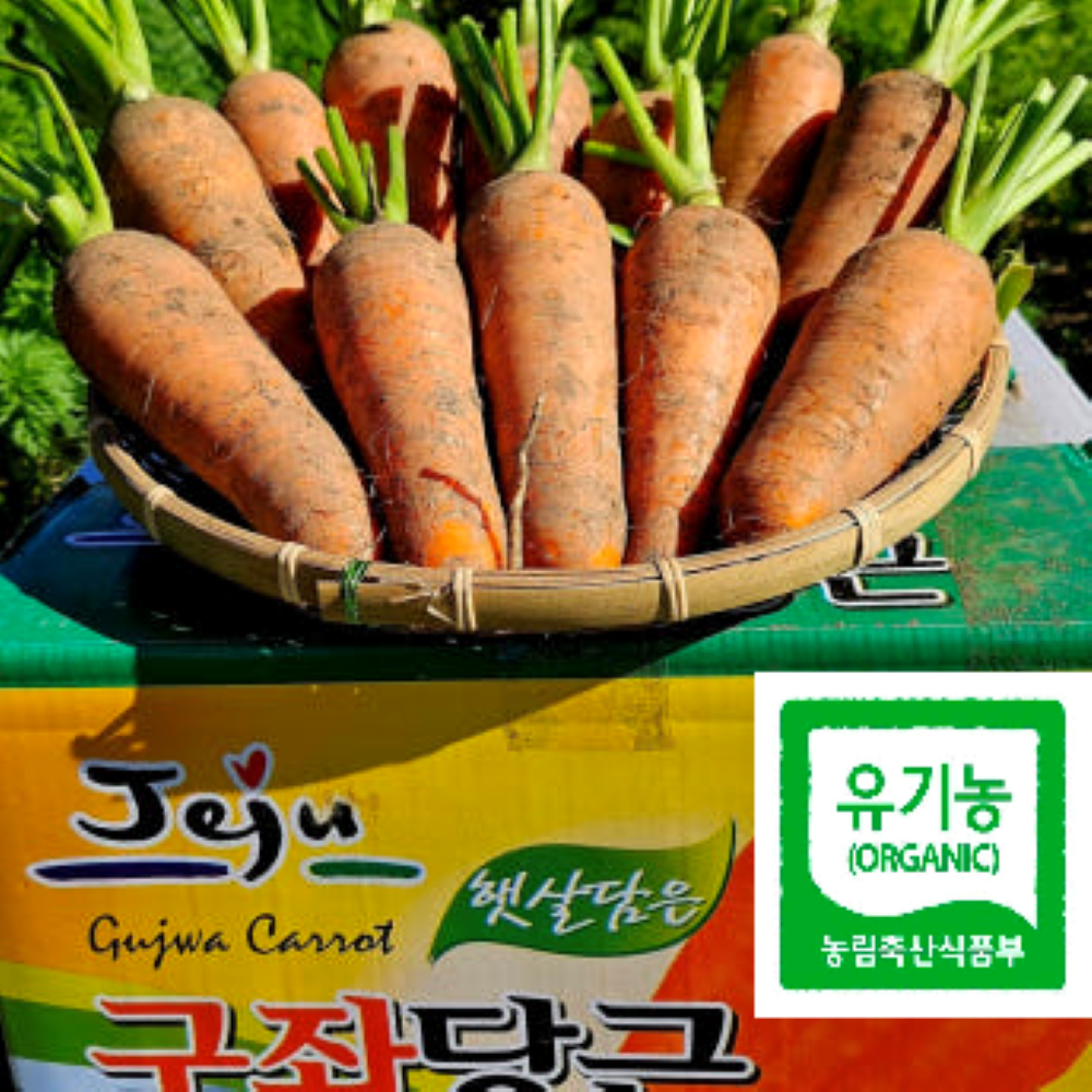 제주구좌 햇당근 /  흙당근 세척당근 주스용 요리용 3kg 5kg 10kg [원산지:국산(제주특별자치도 제주시 구좌읍)] 29,000원