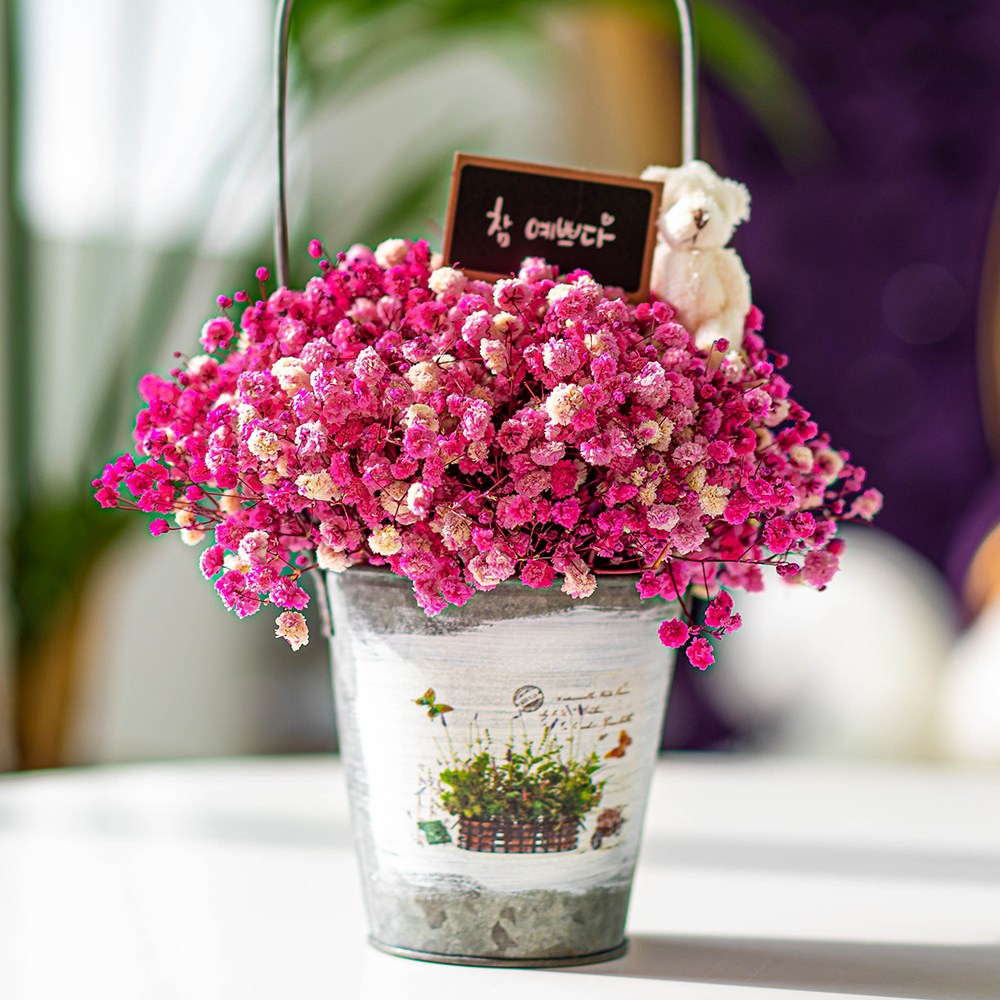 라운드오프 소나무로 만든 시들지 않는 LED 안개꽃바구니 34,900원