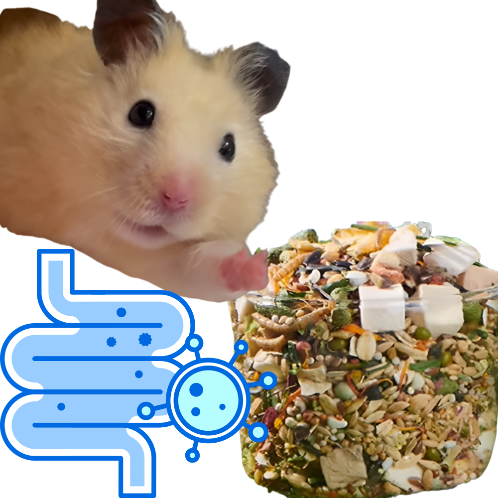 (best) 햄스터  yee 유산균 밥 먹이 사료 프로바이오틱 골든햄스터 7,120원