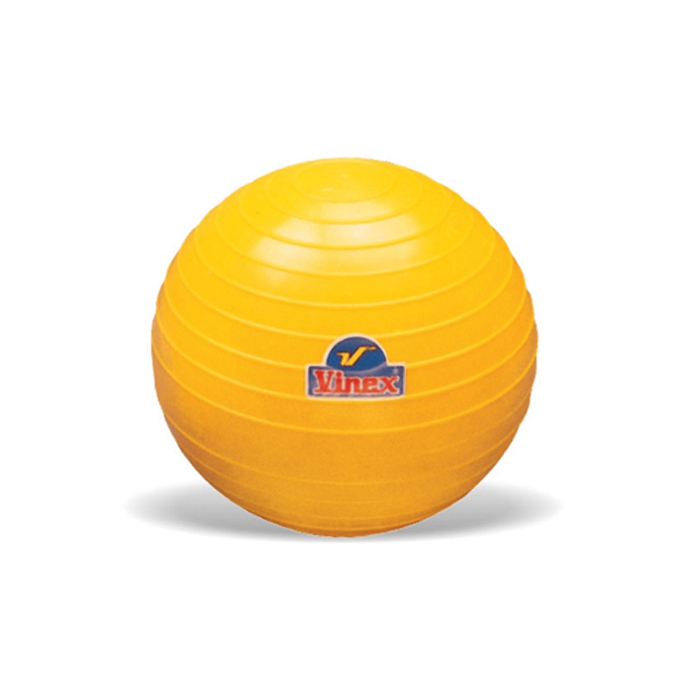 다우리 비넥스 실내외 겸용 포환 5kg 연습용 PVC 표면 84,000원