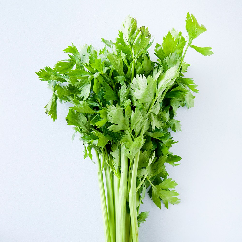 친환경 마음밭 국내산 무농약 샐러리 2kg 3kg, 1개, 2kg 16,400원