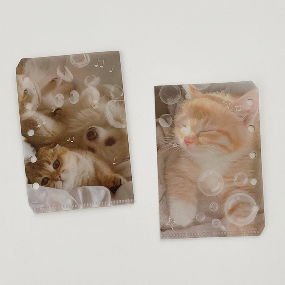 M5 5공 다이어리 멍냥 수납 포켓 속지 내지 1번타입 1,500원