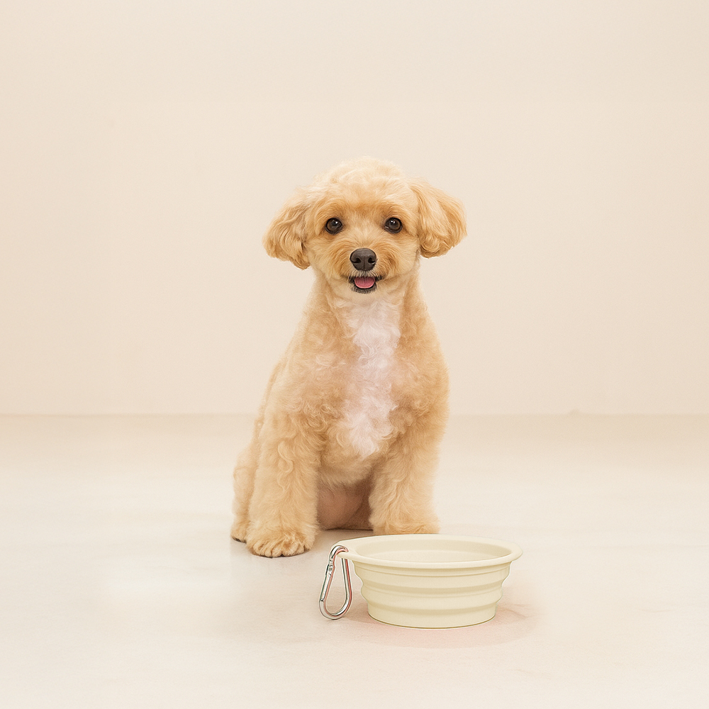 레토 반려동물 휴대용 접이식 실리콘 식기, 아이보리, 1개 3,800원