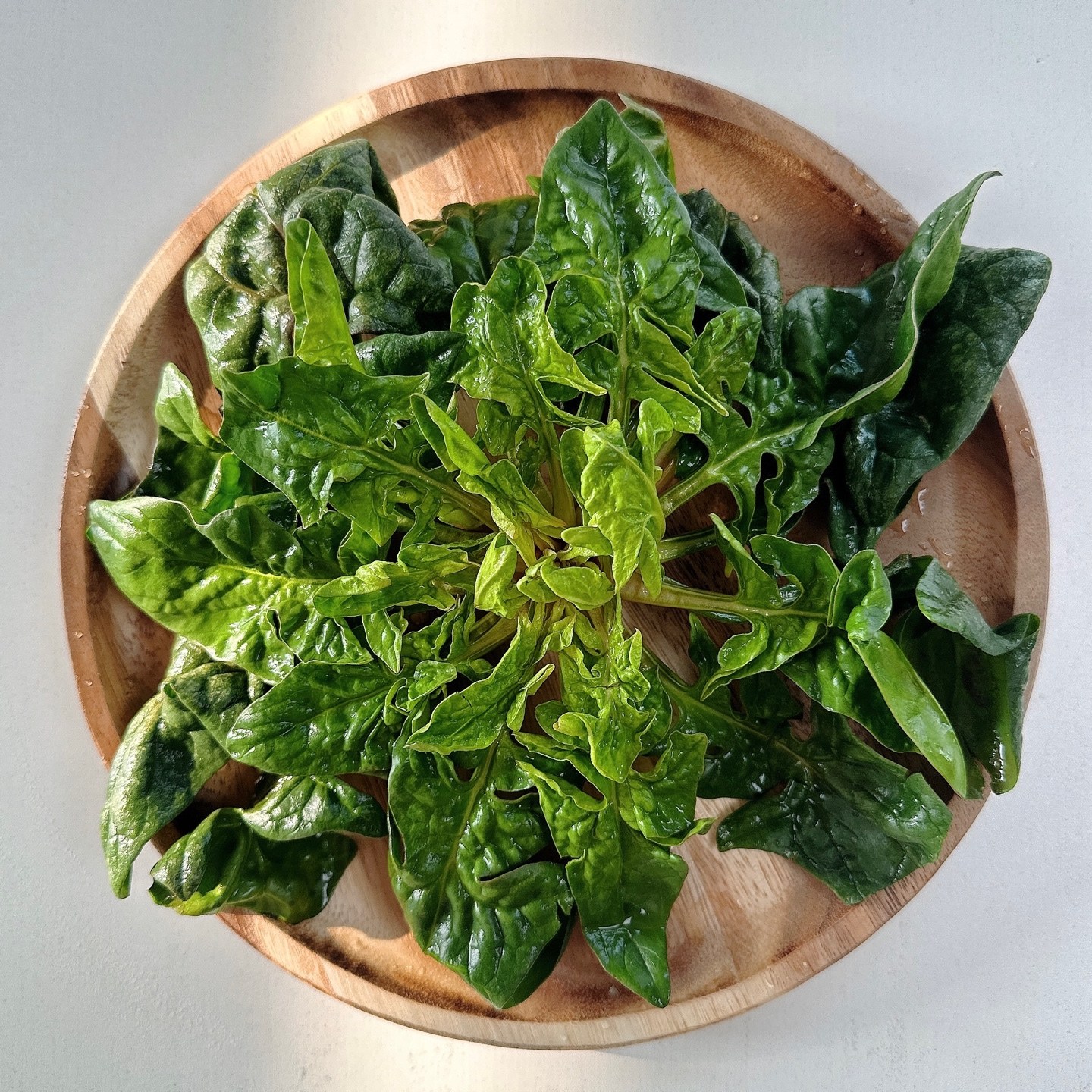 [산지직송] 엔젤팜 섬초 1차세척 도초섬시금치 해풍섬초 프리미엄섬초 브랜드 해풍초 300g 더드림 행사진행, 1개 24,500원