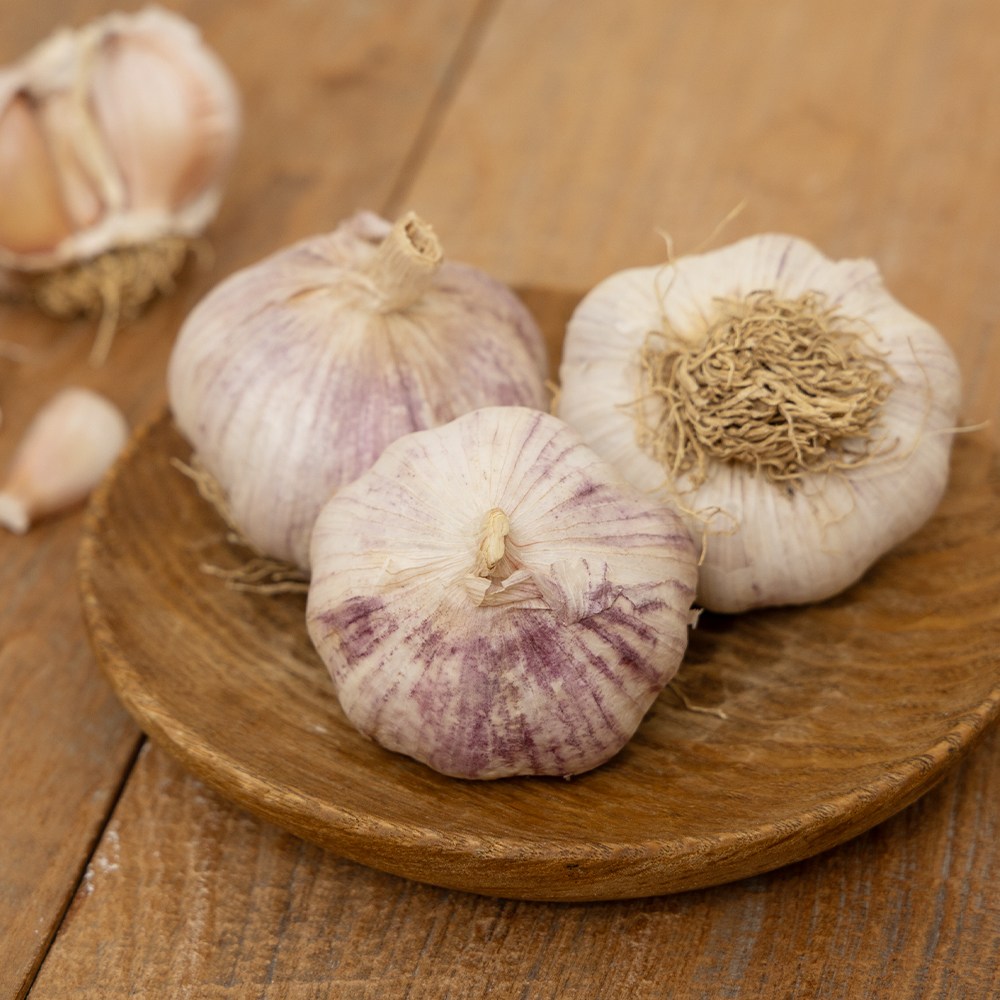 [우리뜰] 국내산 창녕마늘, 1개, 통마늘 크기 (중) 20kg 158,200원