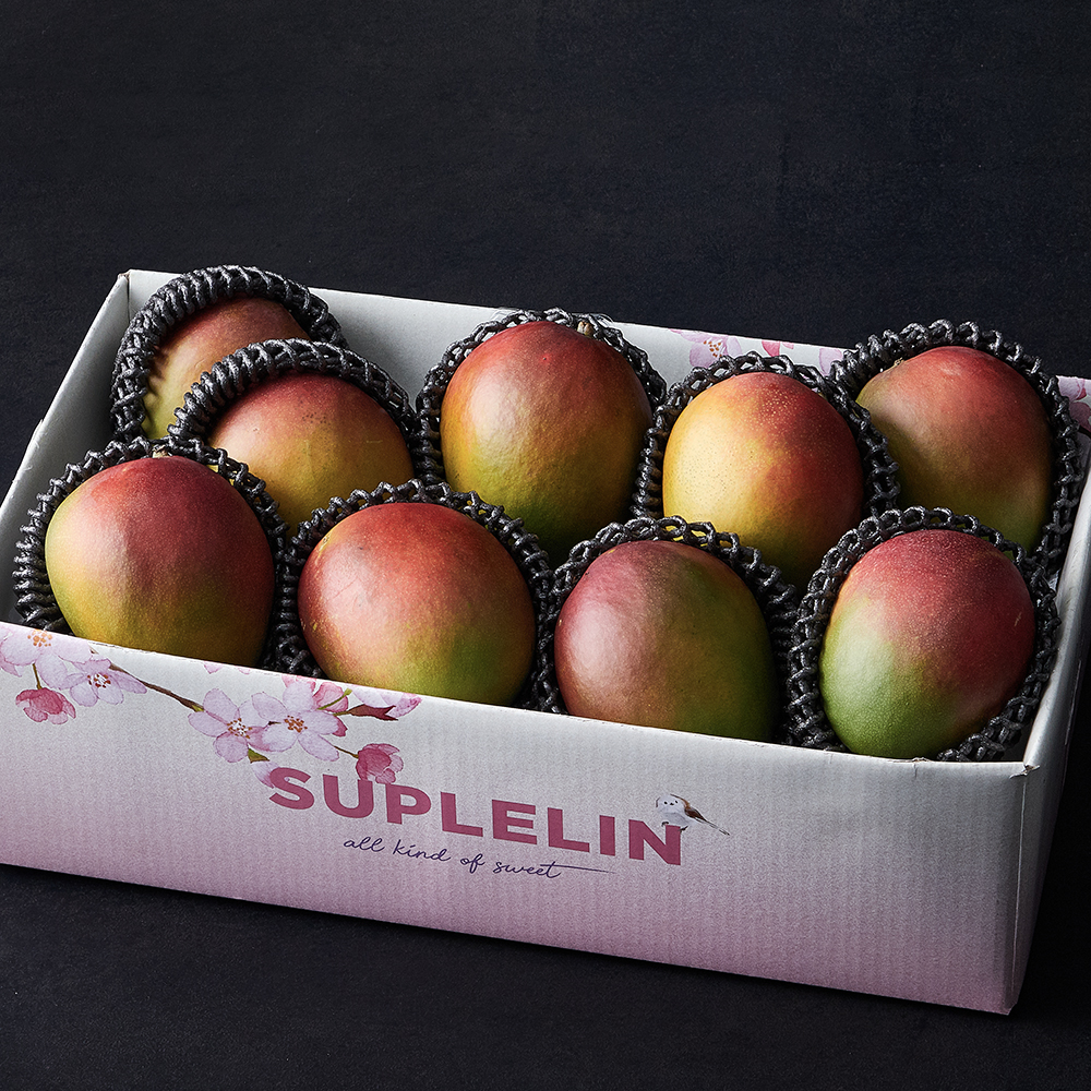 [로켓프레시] 수플린 페루 애플망고 실속세트 26,070원