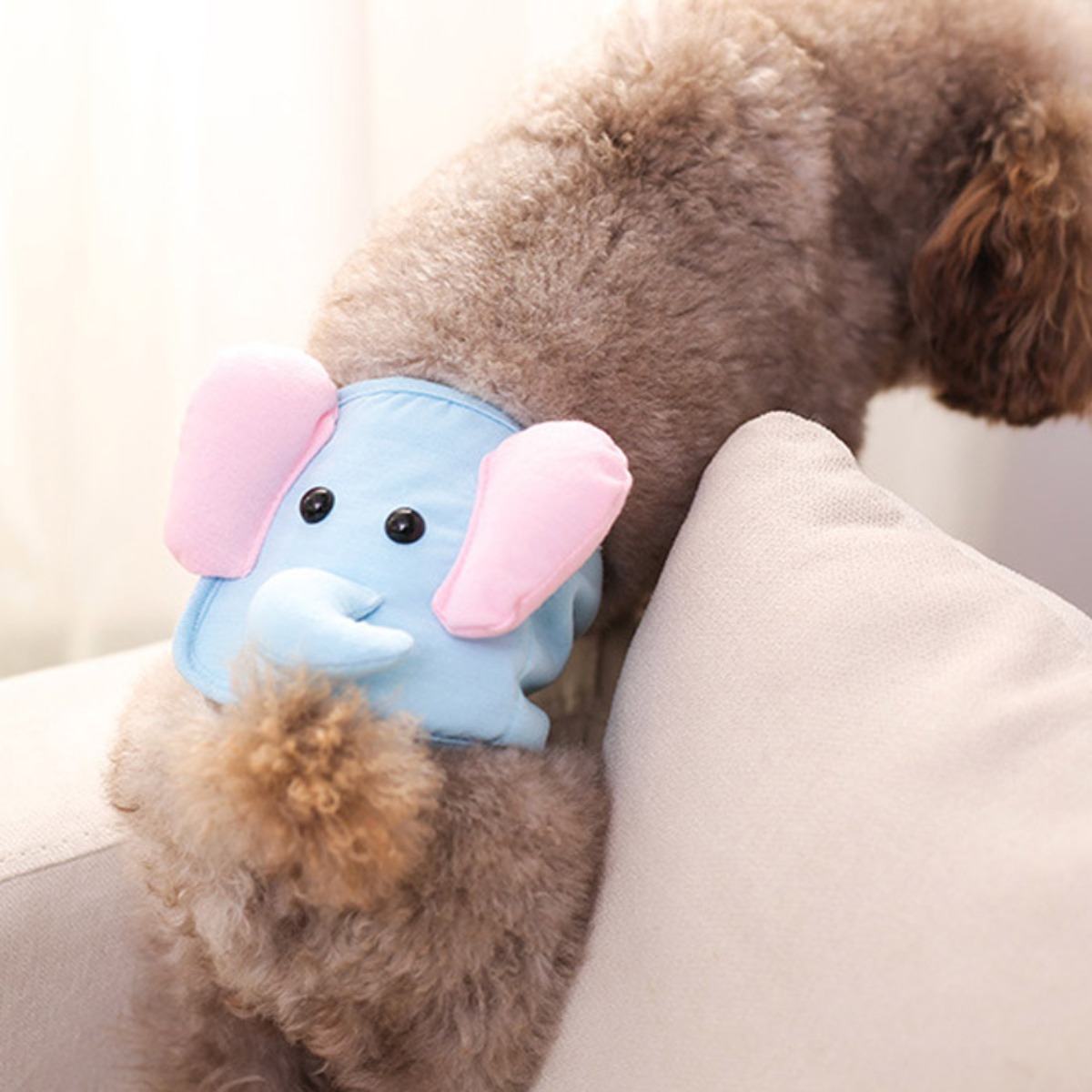 딩동펫 반려견 매너벨트 코끼리 6,100원