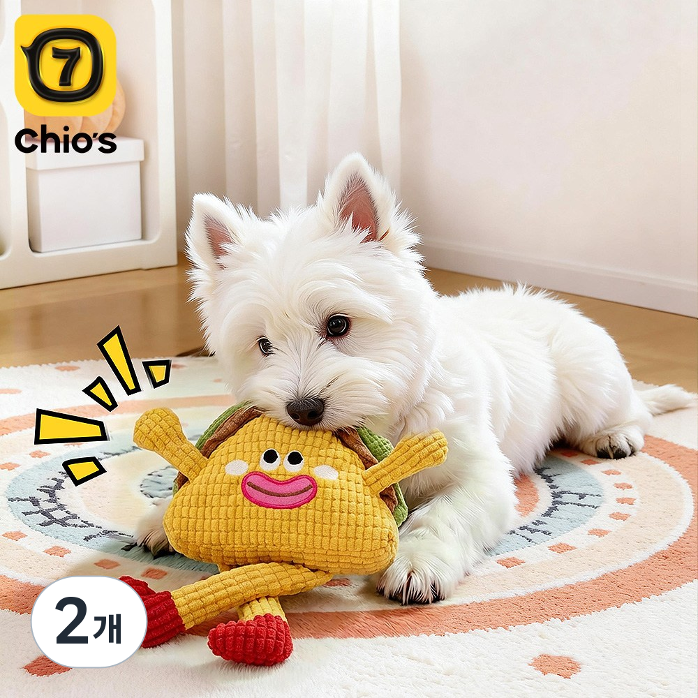 고양이이갈이장난감 릴렉스 심심풀이, 2개, 노란색-D 27,200원