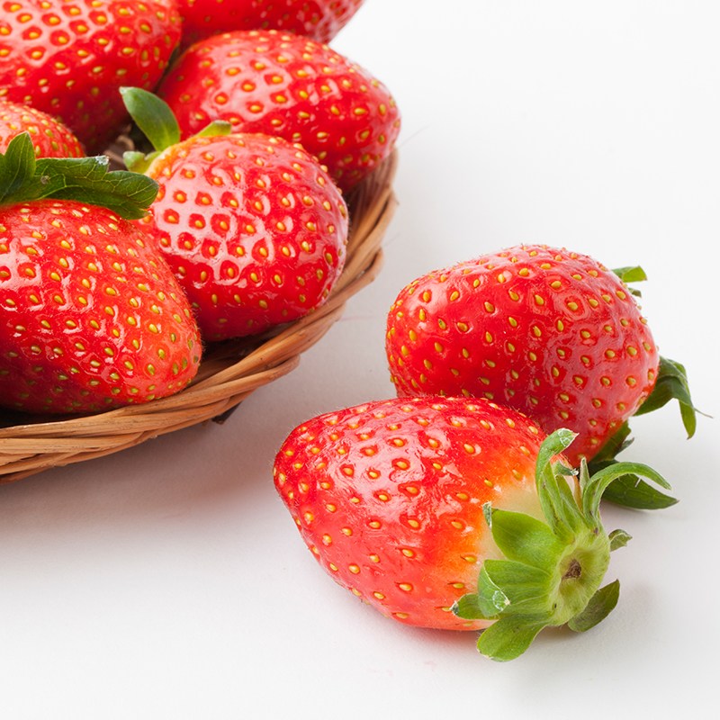 (농가특가) 일등농수산 유명산지 설향딸기, 1개, 한입과 2kg 120-160과 56,500원