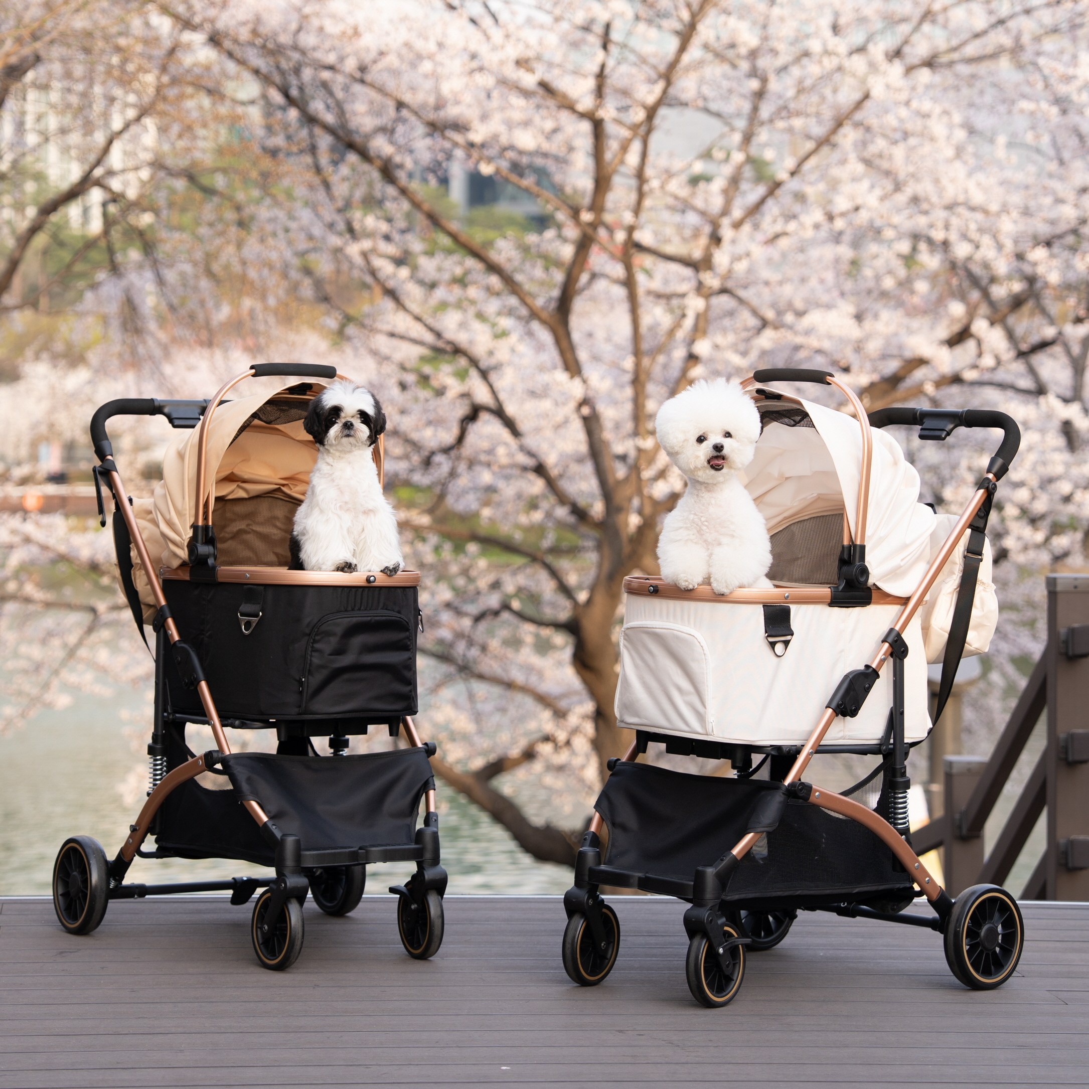 가르르 개모차 강아지 유모차 접이식 158,000원