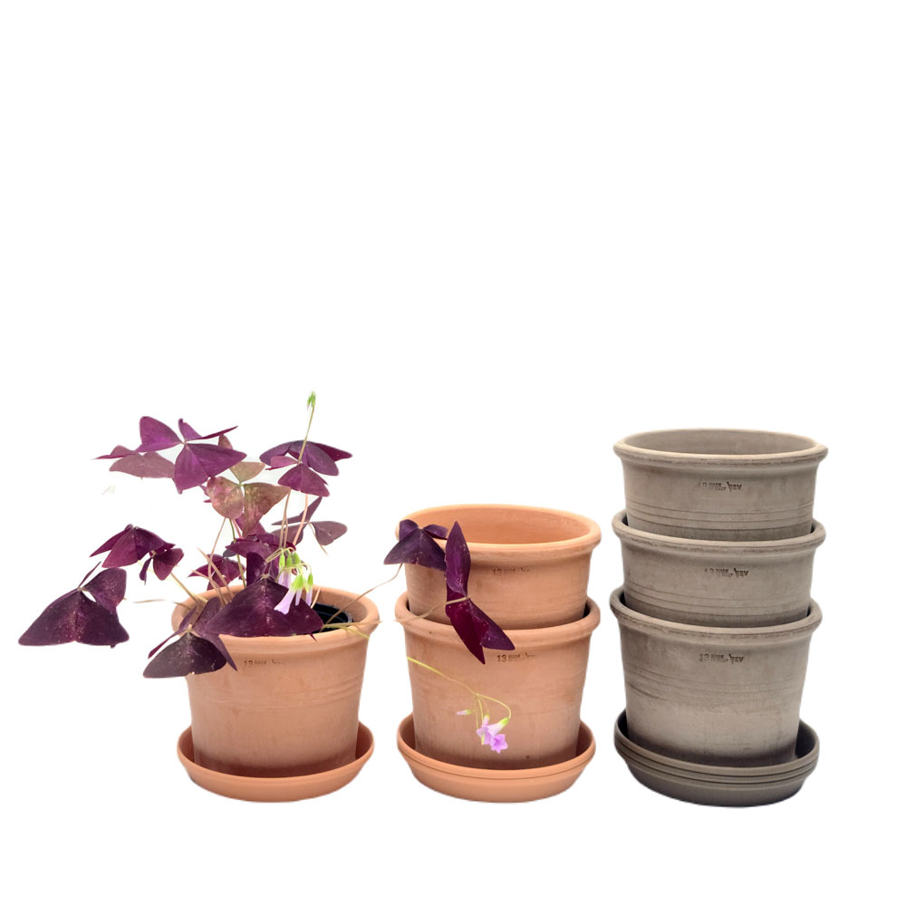 3개셋트 EV 실린더 토분 13x10cm+동그라미 받침, 살구색+동그라미받침, 3개 12,230원