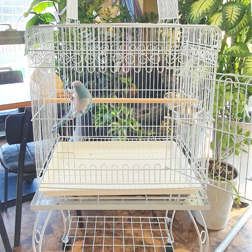 개방형 사각 중형 새장 500H 새집 앵무새새장 앵무새집 용품 장난감, 1개 135,000원