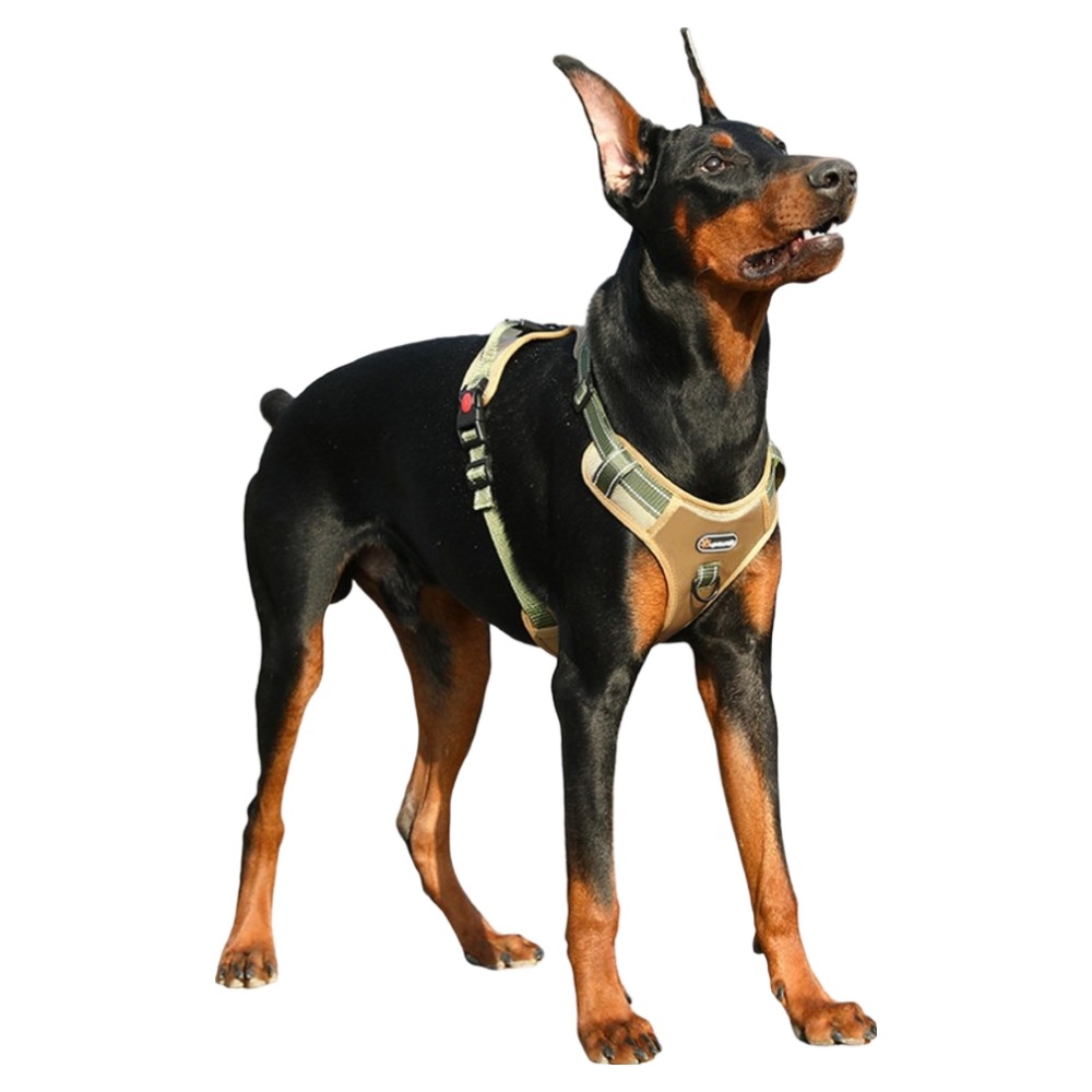 MAAH 강아지 중형 대형 Y형 울트라 하네스, 카키, 1개 14,500원