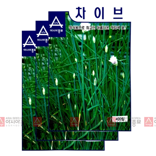 아시아종묘 씨앗 허브 차이브 400립 3ea 10,800원