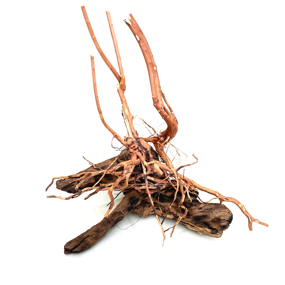 모비딕 랜드스케이프 유목 48,100원