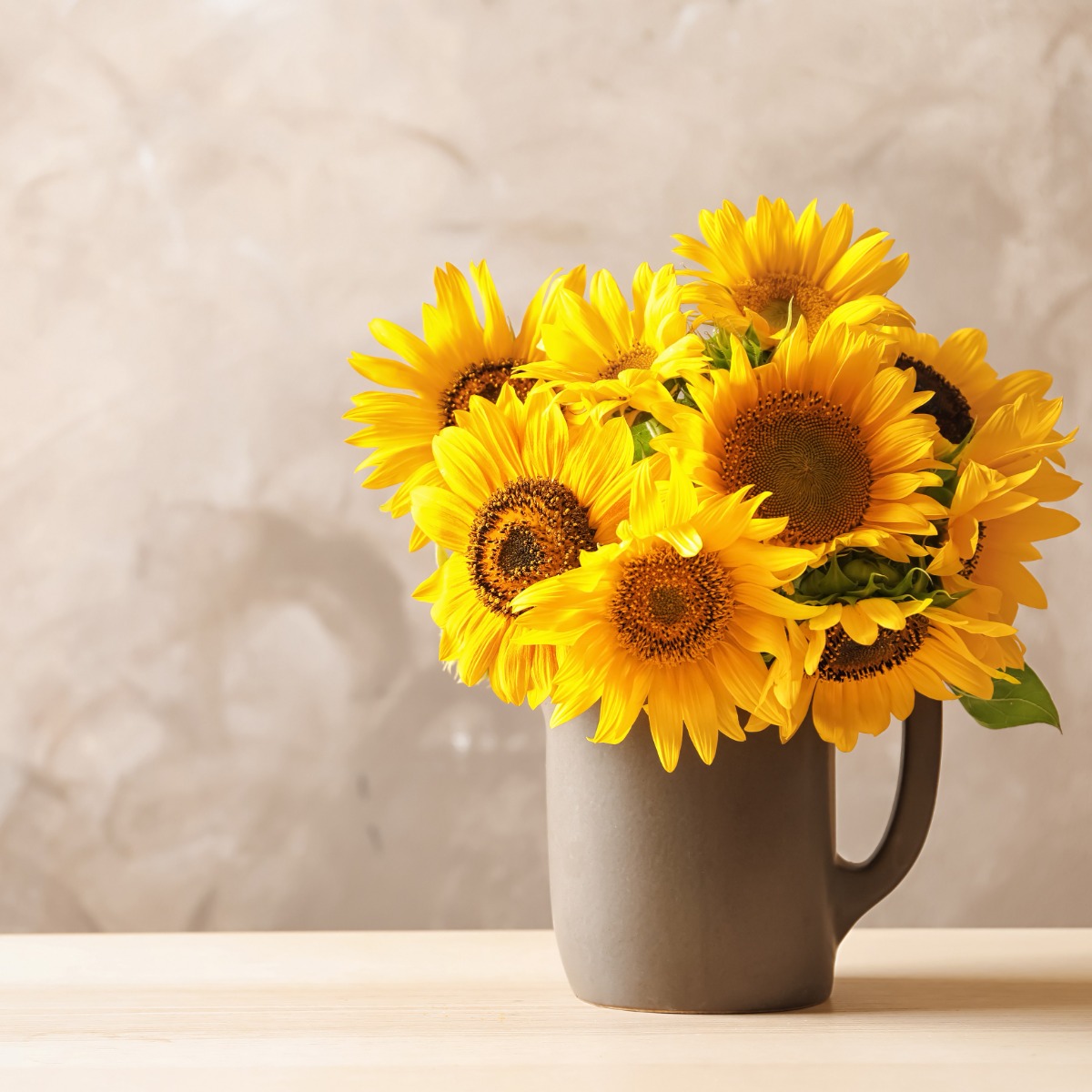 코나 주방아트보드 풍수 재물운 금전운 돈 행운 들어오는 그림 액자 사진 해바라기컵 39,900원