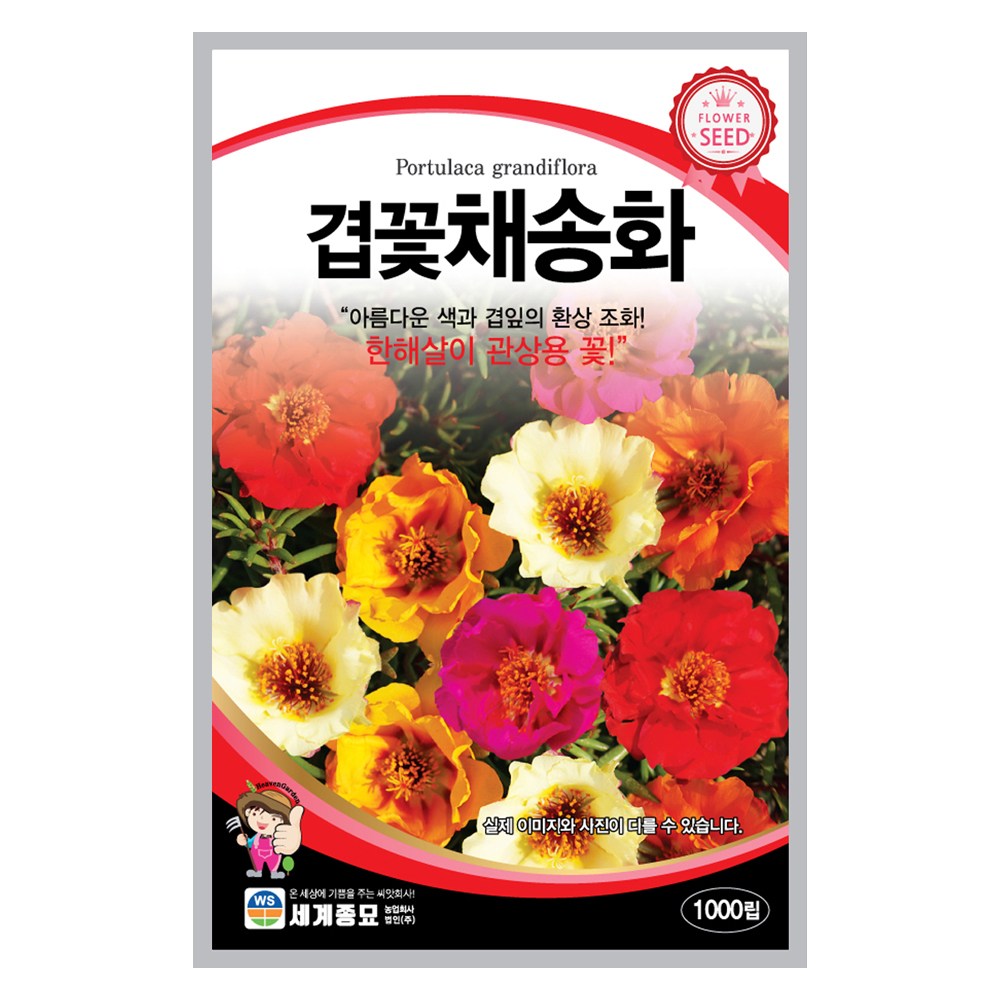 모칸도 (무배)세계 겹꽃채송화 꽃씨 1000립 3,690원